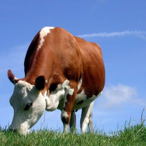 Meet your Posher, Aubrey